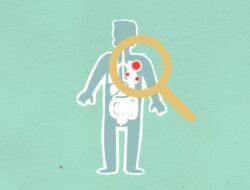 Berita Terkini Hari Ini: Update Lengkap dan Insight Eksklusif untuk Pembaca Aktif