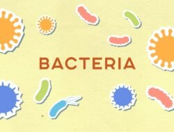 Berita Terkini Hari Ini: Update Cepat, Analisis Mendalam, dan Fakta Menarik yang Wajib Anda Ketahui